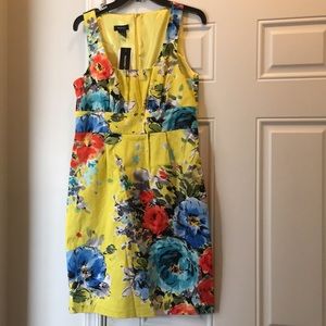 NWT Beautiful Dress